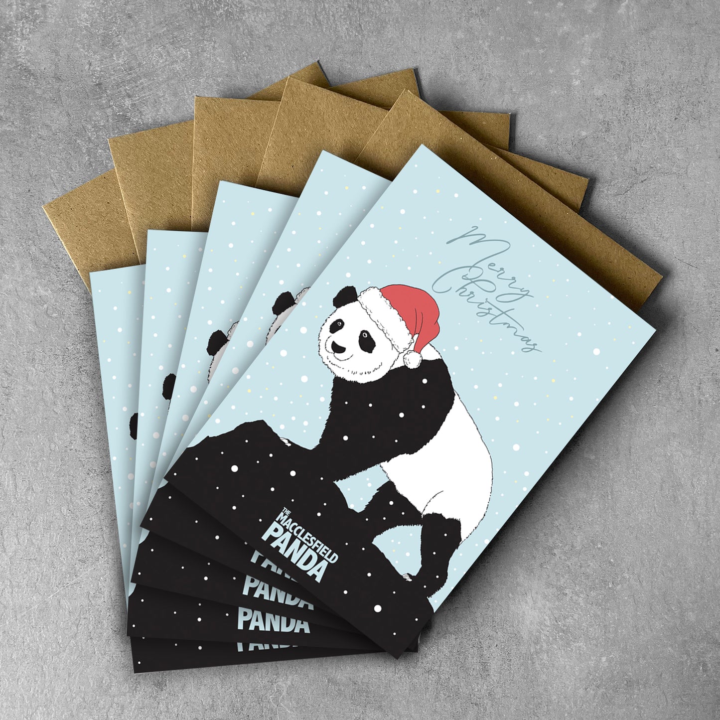 2024 Macclesfield Charity Christmas Cards, 5 PACK.